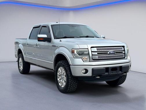 Terrain 2013 Ford F-150 Platinum