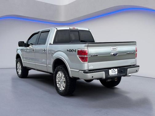 Terrain 2013 Ford F-150 Platinum