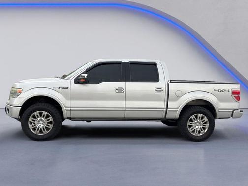 Terrain 2013 Ford F-150 Platinum
