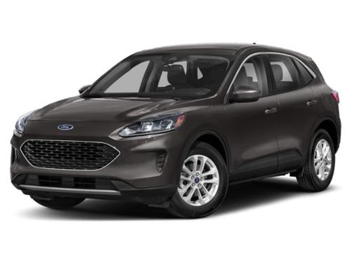 Magnetic 2020 Ford Escape SE