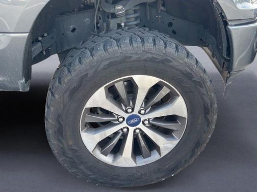 Magnetic 2019 Ford F-150 XL
