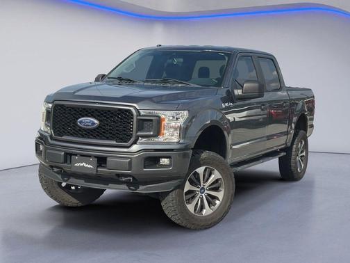 Magnetic 2019 Ford F-150 XL