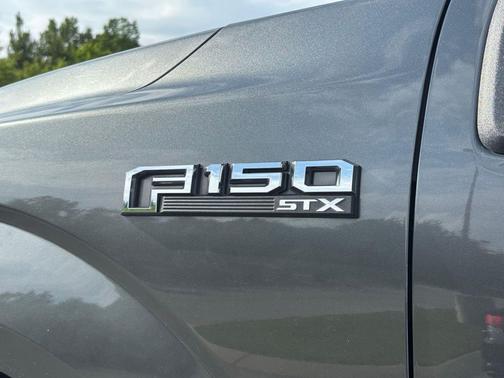 Magnetic 2019 Ford F-150 XL