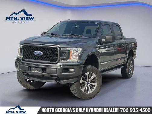 Magnetic 2019 Ford F-150 XL