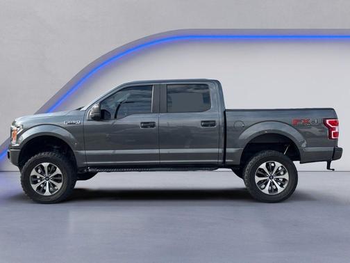 Magnetic 2019 Ford F-150 XL