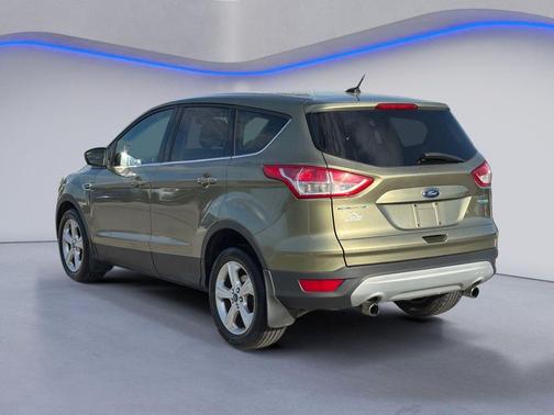 Ginger Ale Metallic 2013 Ford Escape SE