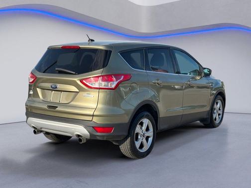 Ginger Ale Metallic 2013 Ford Escape SE