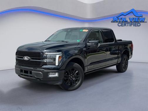 2024 Ford F-150 Platinum