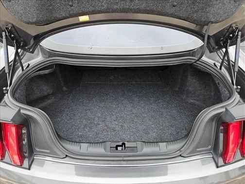 MAGNETIC METALLIC 2020 Ford Mustang EcoBoost