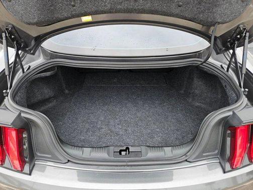 MAGNETIC METALLIC 2020 Ford Mustang EcoBoost