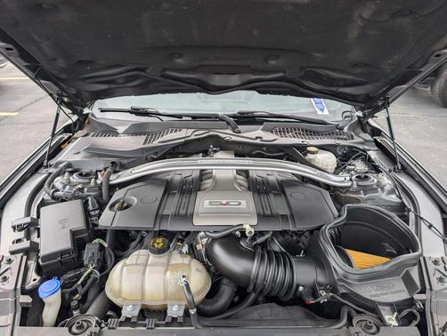 Magnetic Metallic 2020 Ford Mustang GT Premium