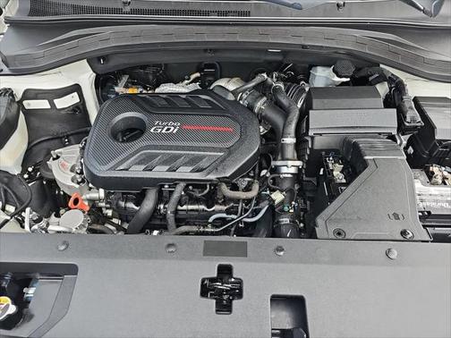 2019 Hyundai SANTA FE Limited 2.0T