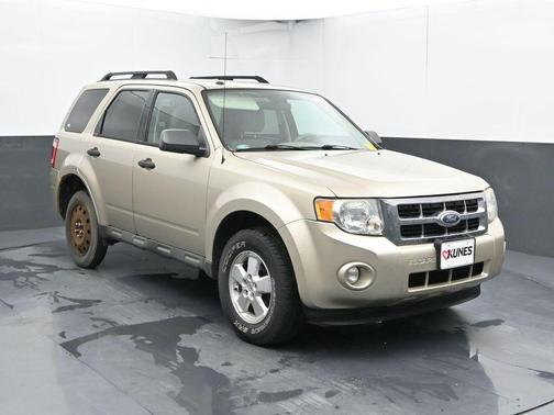 Gold Leaf Metallic 2010 Ford Escape XLT