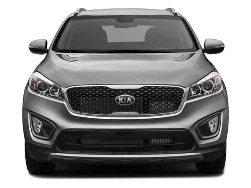 Polished Walnut 2017 Kia Sorento EX