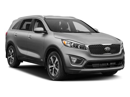 Polished Walnut 2017 Kia Sorento EX