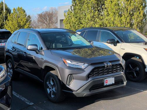 Magnetic Gray Metallic 2025 Toyota RAV4 XLE