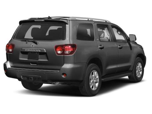 Magnetic Gray Metallic 2019 Toyota Sequoia SR5