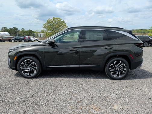 Rockwood Green 2026 Hyundai TUCSON Limited