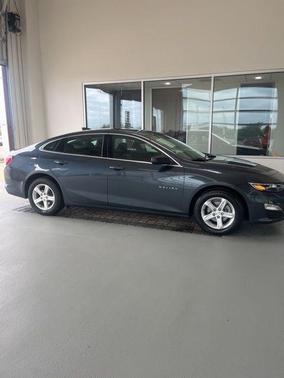 Shadow Gray Metallic 2020 Chevrolet Malibu 1LS