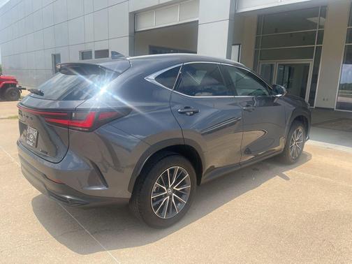 Cloudburst Gray 2025 Lexus NX 250 Premium