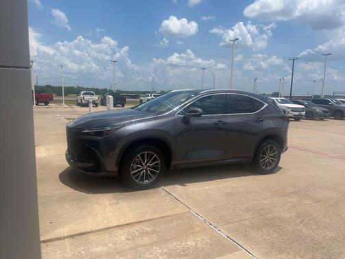 Cloudburst Gray 2025 Lexus NX 250 Premium