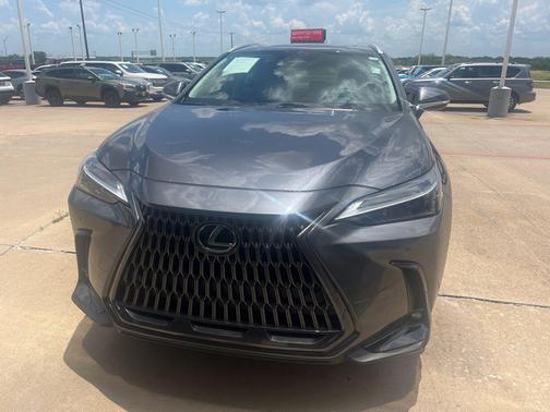 Cloudburst Gray 2025 Lexus NX 250 Premium