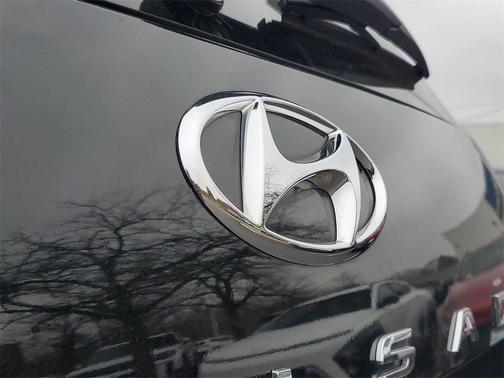Abyss Black Pearl 2022 Hyundai PALISADE SEL
