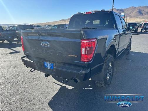 ANTIMATTER BLUE METALLIC 2023 Ford F-150