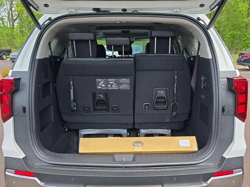 Snow White Pearl 2026 Kia Carnival SX