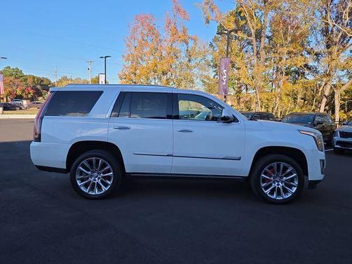 2019 Cadillac Escalade Platinum