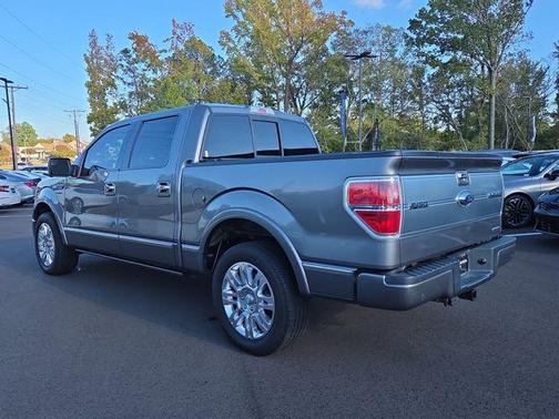 2013 Ford F-150 Platinum