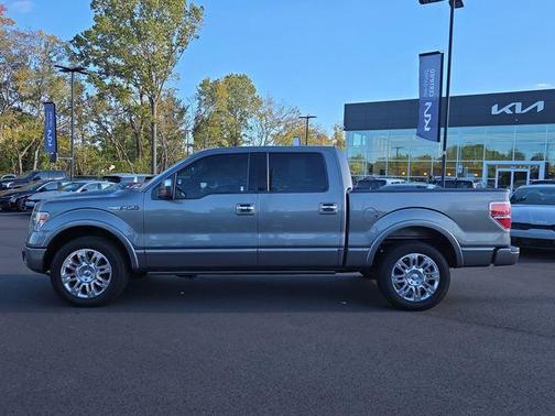 2013 Ford F-150 Platinum