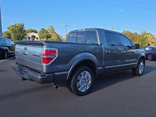2013 Ford F-150 Platinum