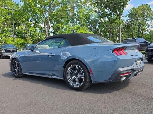Vapor Blue 2025 Ford Mustang EcoBoost Premium