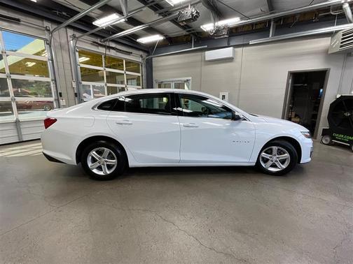 Summit White 2023 Chevrolet Malibu FWD 1LT