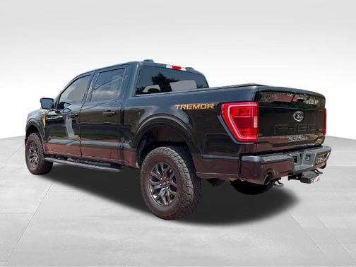 AGATE BLACK METALLIC 2022 Ford F-150 TREMOR