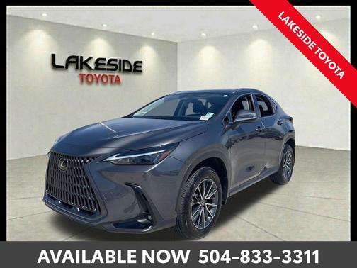 Cloudburst Gray 2023 Lexus NX 350 Premium