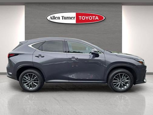 Cloudburst Gray 2024 Lexus NX 350h Premium