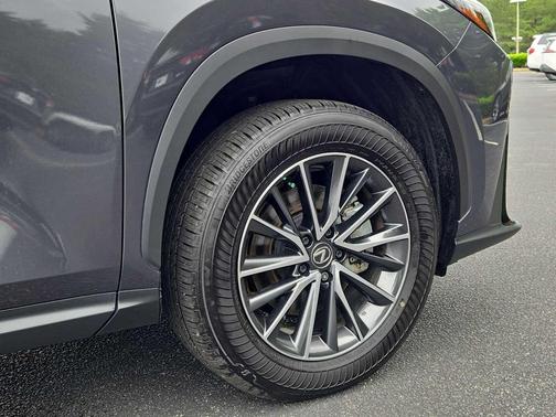 Cloudburst Gray 2024 Lexus NX 350h Premium