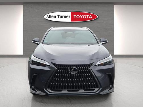 Cloudburst Gray 2024 Lexus NX 350h Premium