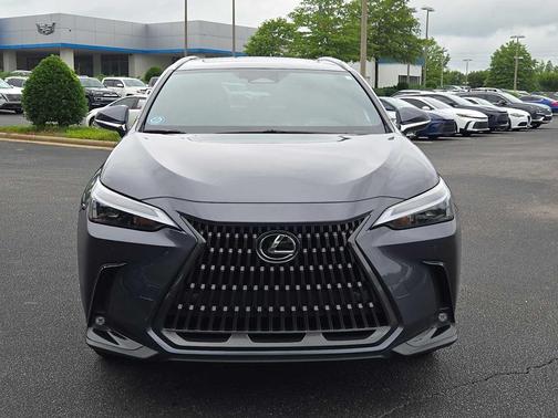 Cloudburst Gray 2024 Lexus NX 350h Premium