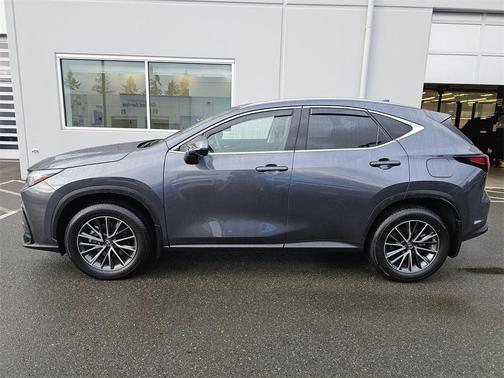 2025 Lexus NX 350h Premium