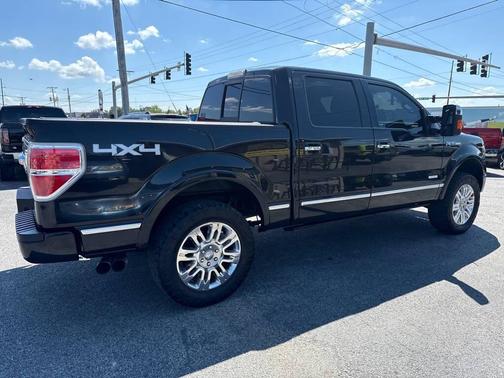 2013 Ford F-150 Platinum