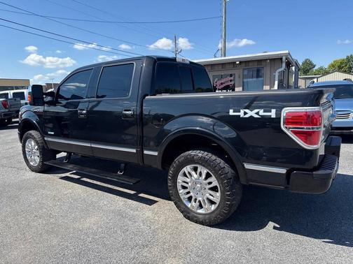 2013 Ford F-150 Platinum