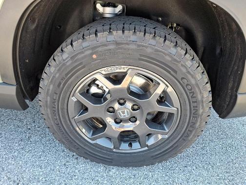 Ash Green 2026 Honda Pilot TrailSport