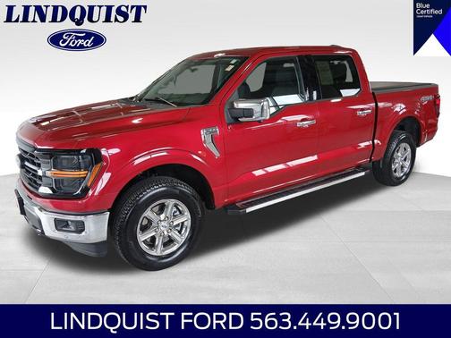 Rapid Red Metallic Tinted Clearcoat 2024 Ford F-150 XLT