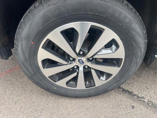 Autumn Green Metallic 2023 Subaru Outback Premium