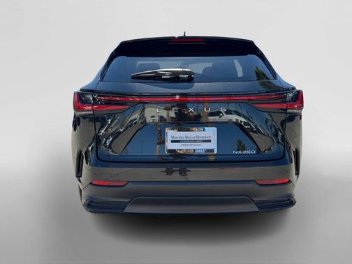 Caviar 2024 Lexus NX 250 Base