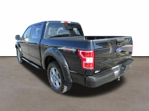 Agate Black Metallic 2019 Ford F-150 XL