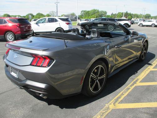 Gray Metallic 2025 Ford Mustang EcoBoost Premium
